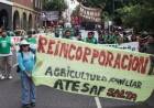 EL GOBIERNO ARRANCÓ LA TERCERA OLA DE DESPIDOS Y SE ESPERAN MÁS PARA LOS PRÓXIMOS DÍAS