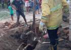 VILLA ÁNGELA: BOMBEROS RESCATARON A UN CABALLO QUE CAYÓ EN UN POZO 