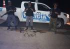 SECUESTRAN ARMAS DE FUEGO Y ANIMALES FAENADOS