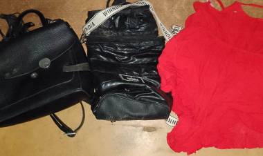 VILLA ÁNGELA: RÁPIDA INTERVENCIÓN PARA DAR CON UNA CARTERA SUSTRAÍDA