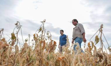 ALTAS TEMPERATURAS: HALAVACS RECORRIÓ LAS ZONAS MÁS AFECTADA