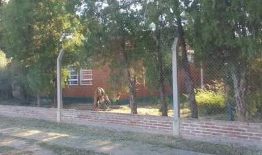VILLA ÁNGELA: EL MUNICIPIO CONTINÚA CON LA INTERVENCIÓN EN INSTITUCIONES Y EL MANTENIMIENTO DE LA CIUDAD
