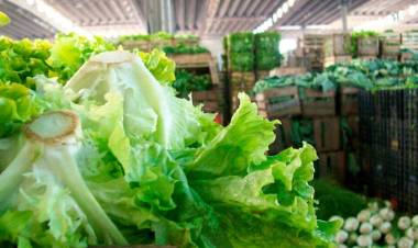 VERDURAS, LO QUE MÁS AUMENTA