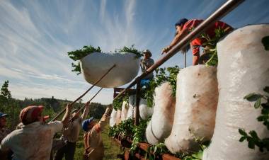 EMPRESARIOS AL RESCATE DE LA FLEXIBILIZACIÓN