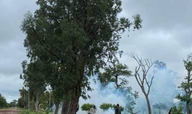 SECRETARIA DE MEDIO AMBIENTE DE VILLA ÁNGELA TOMA MEDIDAS CONTRA LA INVASIÓN DE MOSQUITOS TRAS LA INTENSAS LLUVIAS