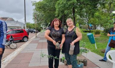 VILLA ANGELA: SECRETARÍA DE AMBIENTE ENTREGÓ 1125 ÁRBOLES EN EL DÍA DE LA FORESTACIÓN