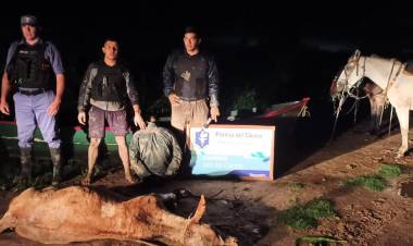 EN UNA CANOA PRETENDIAN PASAR EL RIO CON UNA VAQUILLA: HAY UN DETENIDO 