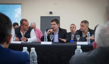 CHACO SE UNE AL COMITÉ DE CRISIS JUNTO A OTRAS 11 PROVINCIAS EN LA LUCHA CONTRA EL VECTOR “LA CHICHARRITA” 