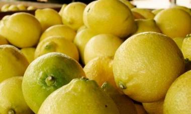 PRECIOS DEL CAMPO A LA GÓNDOLA