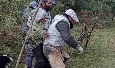 RESCATAN A UN HOMBRE PERDIDO EN CAMPO DE COLONIA CABEZA DEL TIGRE 