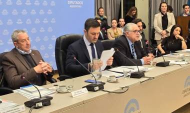 PETRI FUE AL CONGRESO A DEFENDER QUE LOS MILITARES SALGAN A LAS CALLES