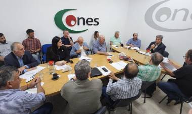 EL MINISTRO ZIMMERMANN ASUMIÓ LA PRESIDENCIA DEL CONSEJO ECONÓMICO Y SOCIAL (CONES)