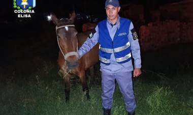 EN DIFERENTES LOCALIDADES MONTARON OPERATIVOS NOCTURNOS