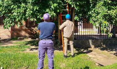 CON MÁS CUADRILLAS Y OPERATIVOS, SECHEEP AMPLÍA SU LUCHA A LAS CONEXIONES IRREGULARES