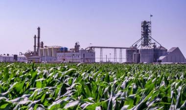 AUTORIZAN AUMENTO EN BIODIÉSEL