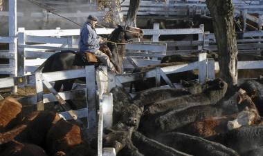 SE VIENE UN NUEVO AUMENTAZO EN LAS CARNICERÍAS