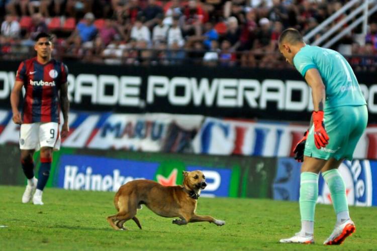 CADA VEZ SE JUEGA MENOS EN EL FÚTBOL ARGENTINO