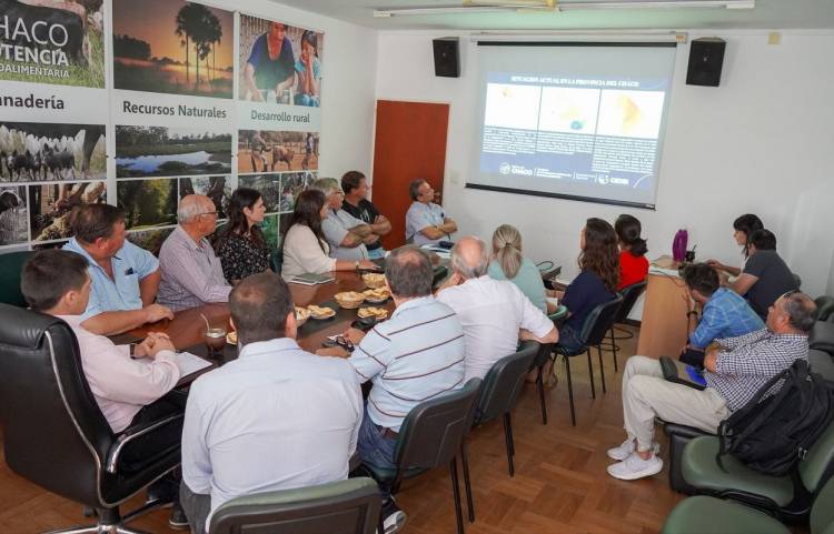 PROPONEN DECLARAR LA EMERGENCIA AGROPECUARIA EN 6 DEPARTAMENTOS DEL CHACO, ANTE LA OLA DE CALOR Y EL DÉFICIT HÍDRICO 
