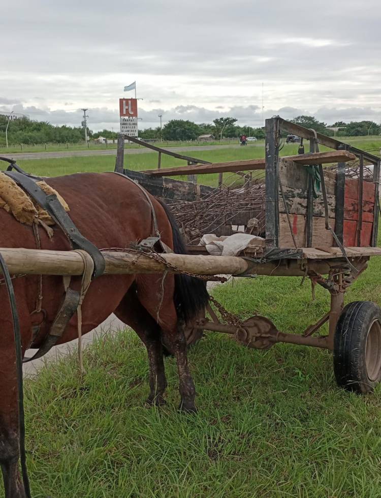 AGENTES VIALES APREHENDEN A DOS HOMBRES POR SUSTRAER POSTES Y ALAMBRADOS AJENOS 