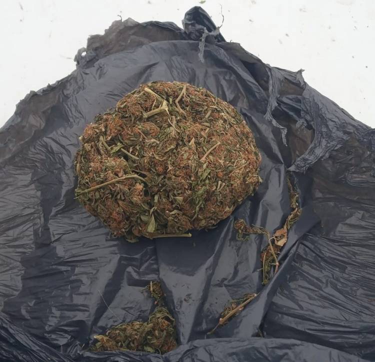 VILLA ANGELA: LO DETUVIERON EN LA TERMINAL DE ÓMNIBUS POR LLEVAR ESTUPEFACIENTES