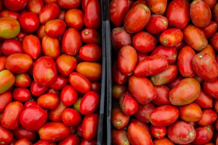 EL TOMATE, MÁS CARO QUE EL ASADO
