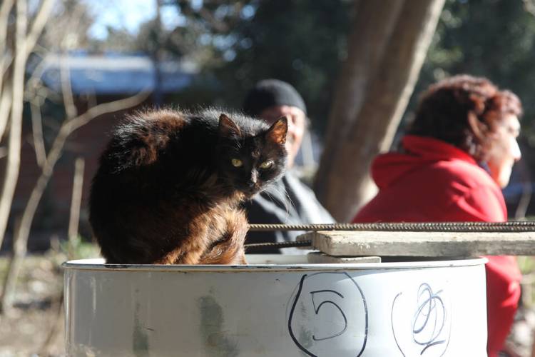 UNA FAMILIA TIPO NECESITÓ  850 MIL PESOS PARA NO SER POBRE