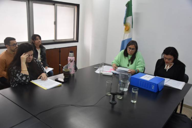 LA COMISIÓN DE GÉNERO RECIBIÓ A REFERENTES DE RONAT