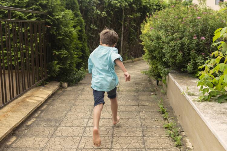 EL ANALFABETISMO DE LA JUSTICIA