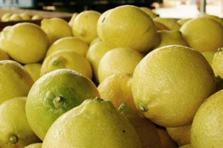 LA SUBA DEL CAMPO A LA GÓNDOLA