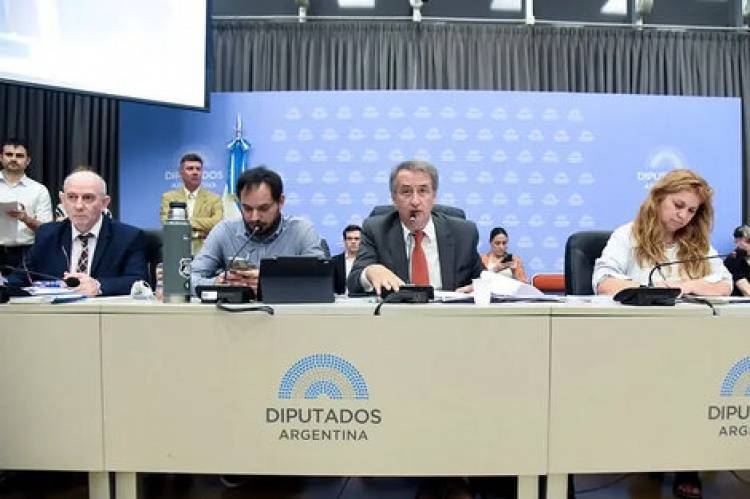 LA OPOSICIÓN CONSIGUIÓ DICTAMEN DE MAYORÍA PARA LIMITAR LOS DNU DE MILEI