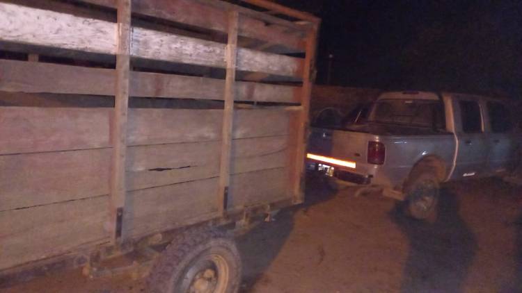 SECUESTRAN UN VEHÍCULO Y UN ANIMAL POR IRREGULARIDADES EN LA GUÍA